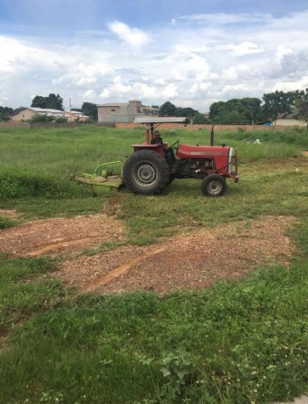 Roçada Mecanizada com trator agrícola de pequeno porte